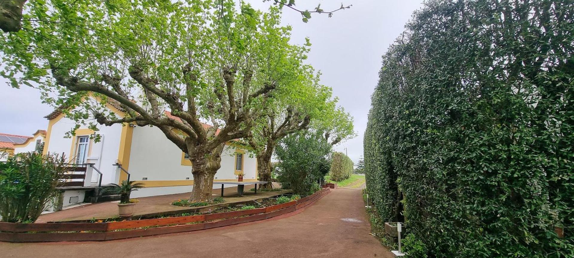 Вілла Quinta Sao Jose Da Relva Понта-Делгада Екстер'єр фото